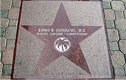 prof. dr Borko Đorđević humanitarna zvezda